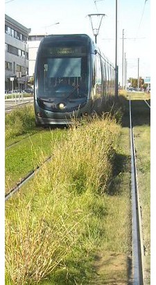 tramway.jpg