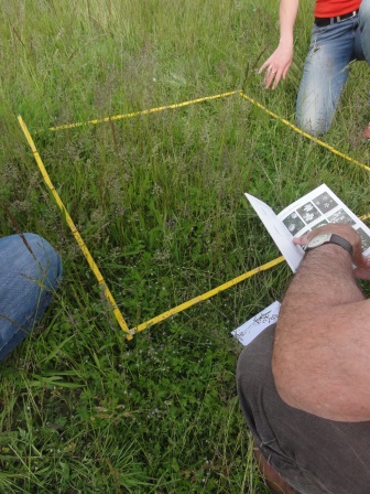 Mise en place d'un quadrat Florilèges - prairies urbaines dans le parc du Sausset - Département de la Seine Saint Denis. Crédit : Damien Provendier - Plante & Cité