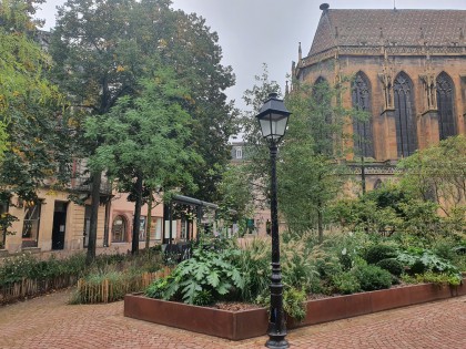 Photo Colmar - Sandrine Larramendy