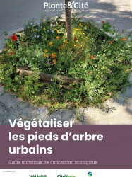 Guide Végétaliser les pieds d'arbre
