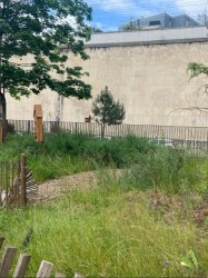 Jardin Hôpital de Sainte Anne Paris - Crédit : Arp Astrance