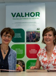 Signature convention annuelle Plante & Cité - VALHOR