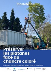 Guide chancre coloré du platane