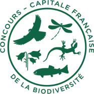 Logo Concours  (png - 27 Ko)