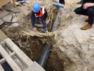 Réseaux racinaires et réseaux enterrés