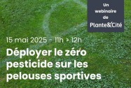 Webinaire terrains de sport