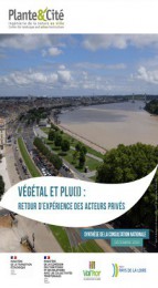 Découvrez les résultats des deux consultations nationales “Végétal et planification urbaine”