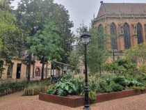 Photo Colmar - Sandrine Larramendy