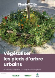 Guide Végétaliser les pieds d'arbre