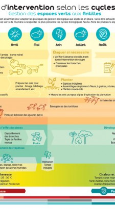 Calendrier intervention Antilles