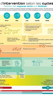 Calendrier intervention Antilles