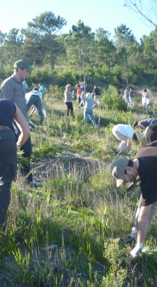 Chantier participatif pour l'arrachage de plantes envahissantes