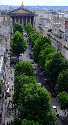 COOLTREES : Le rafraichissement des villes par les arbres