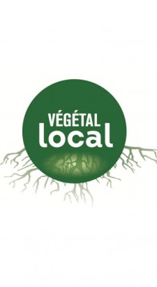 Végétal local