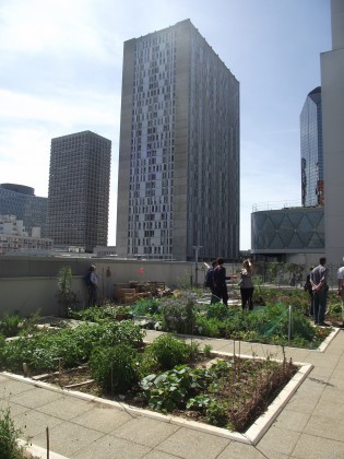 Agriculture urbaine