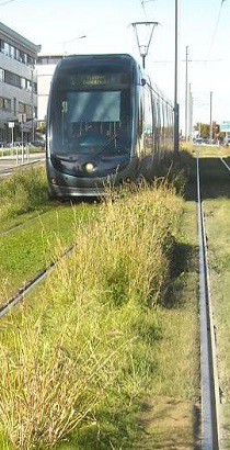 tramway.jpg